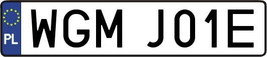 WGMJ01E