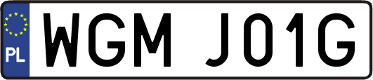 WGMJ01G