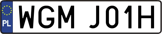 WGMJ01H