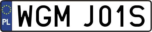 WGMJ01S