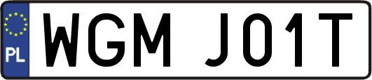 WGMJ01T