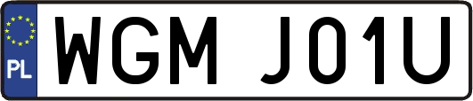 WGMJ01U