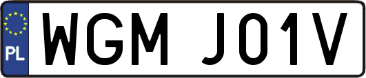 WGMJ01V