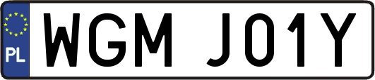 WGMJ01Y