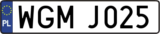 WGMJ025