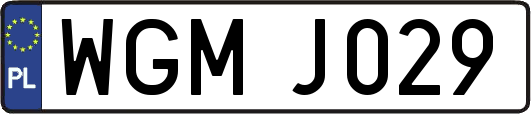 WGMJ029
