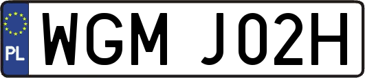 WGMJ02H
