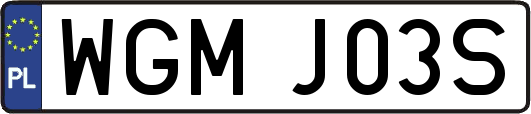WGMJ03S