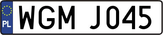 WGMJ045