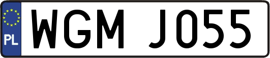 WGMJ055