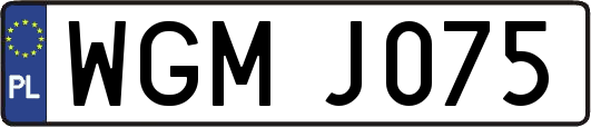 WGMJ075