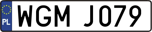WGMJ079
