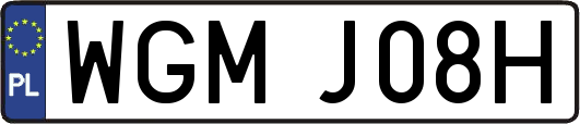 WGMJ08H