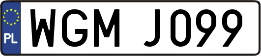 WGMJ099