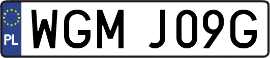 WGMJ09G