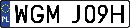 WGMJ09H