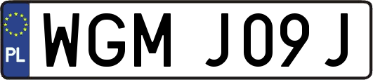 WGMJ09J