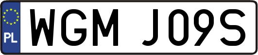 WGMJ09S
