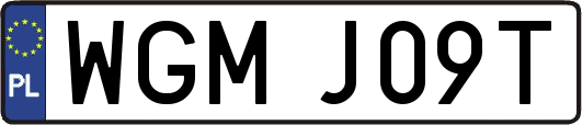 WGMJ09T