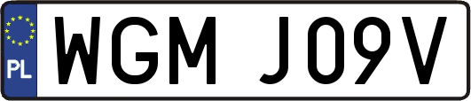 WGMJ09V