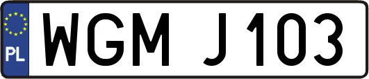 WGMJ103