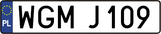 WGMJ109