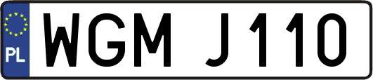 WGMJ110