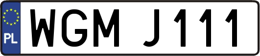 WGMJ111
