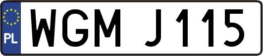 WGMJ115