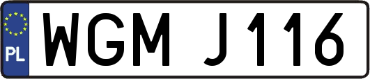WGMJ116