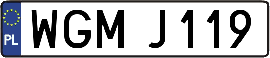 WGMJ119