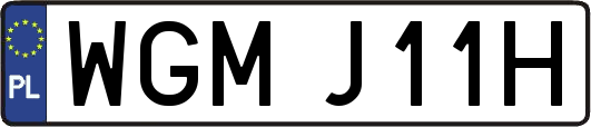 WGMJ11H