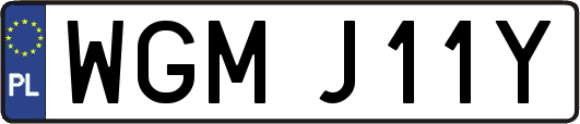 WGMJ11Y