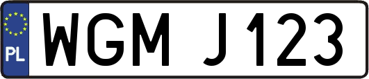 WGMJ123