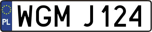 WGMJ124