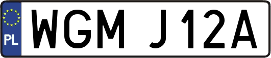 WGMJ12A