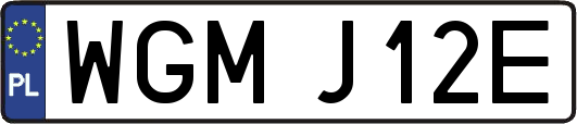 WGMJ12E