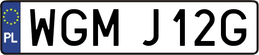 WGMJ12G