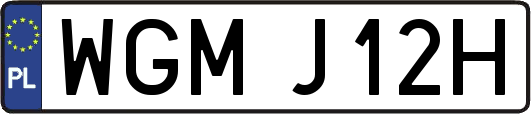WGMJ12H