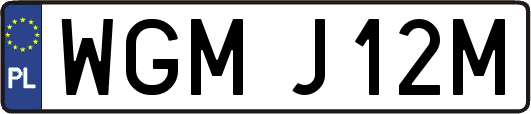 WGMJ12M