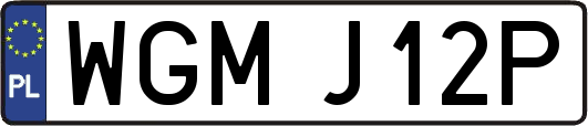 WGMJ12P