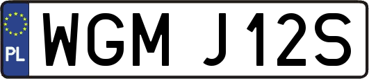 WGMJ12S