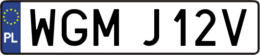 WGMJ12V