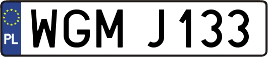 WGMJ133