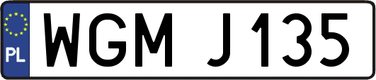 WGMJ135