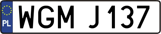 WGMJ137