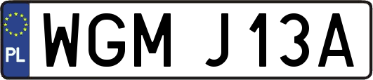 WGMJ13A