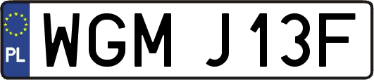 WGMJ13F