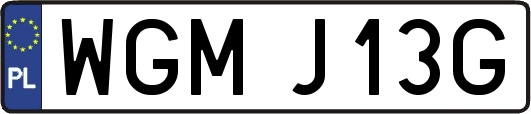 WGMJ13G