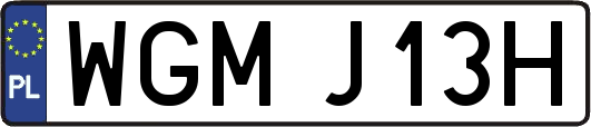 WGMJ13H